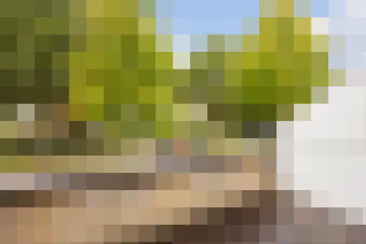 Buitenweg 196 Maarssen thumbnail 18