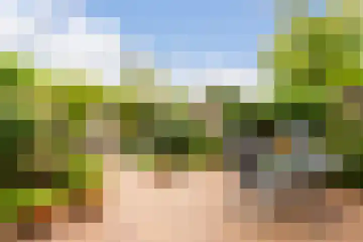 Buitenweg 196 Maarssen thumbnail 33