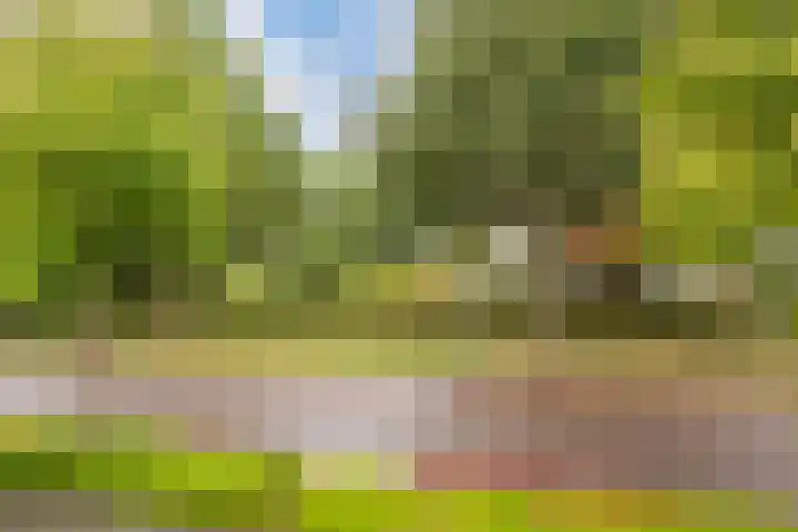 Buitenweg 196 Maarssen thumbnail 43