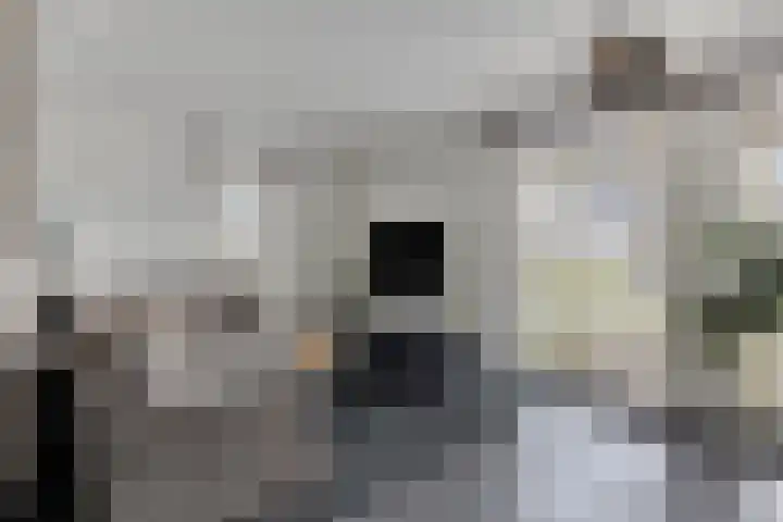 Buitenweg 2 Someren thumbnail 16