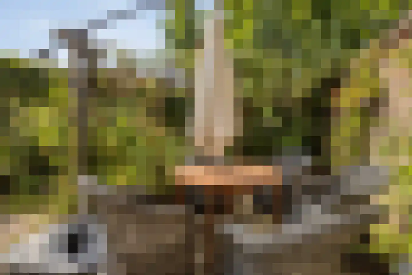 Buitenweg 20 Hengelo thumbnail 36