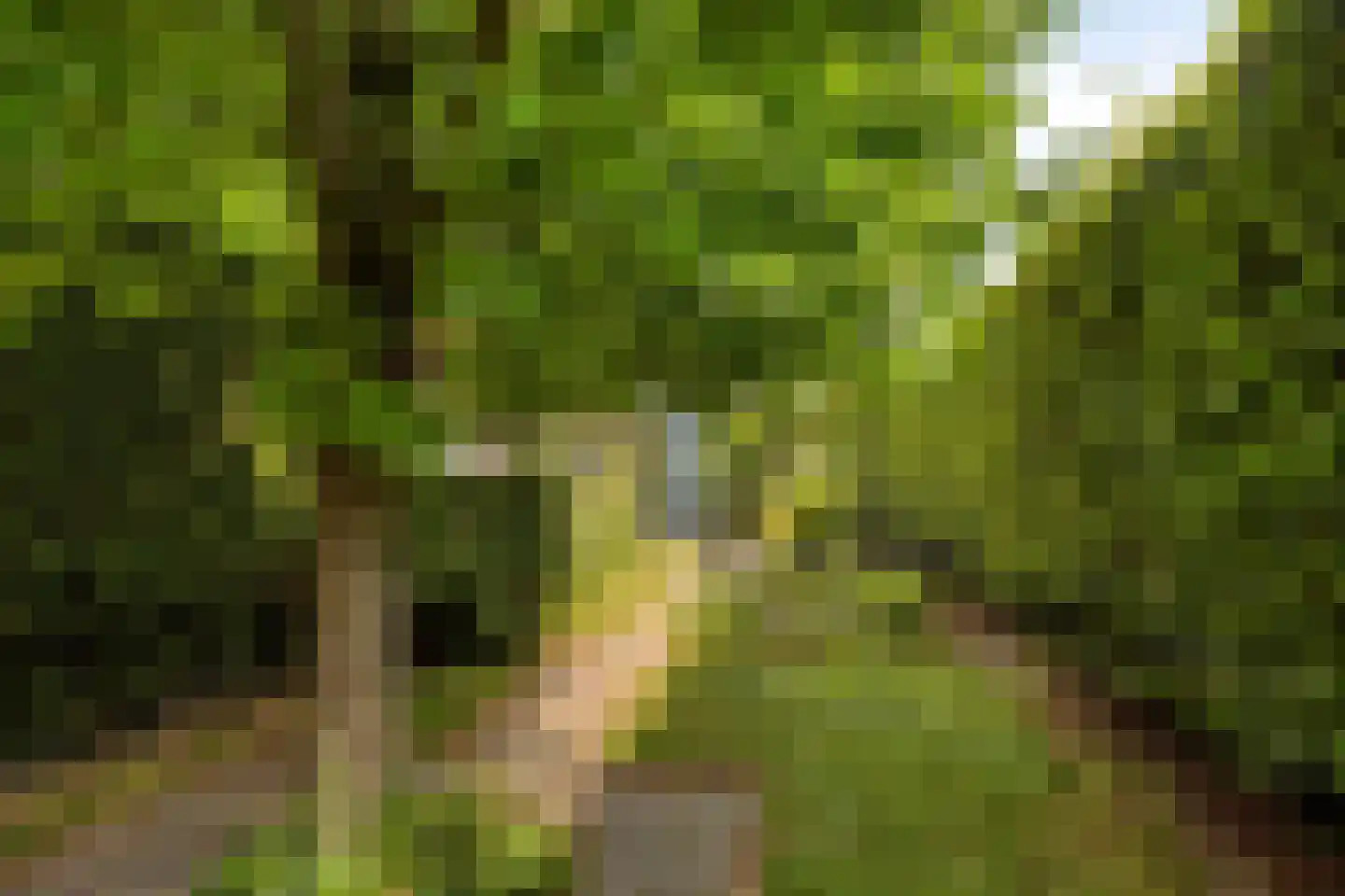Buitenweg 20 Hengelo thumbnail 37