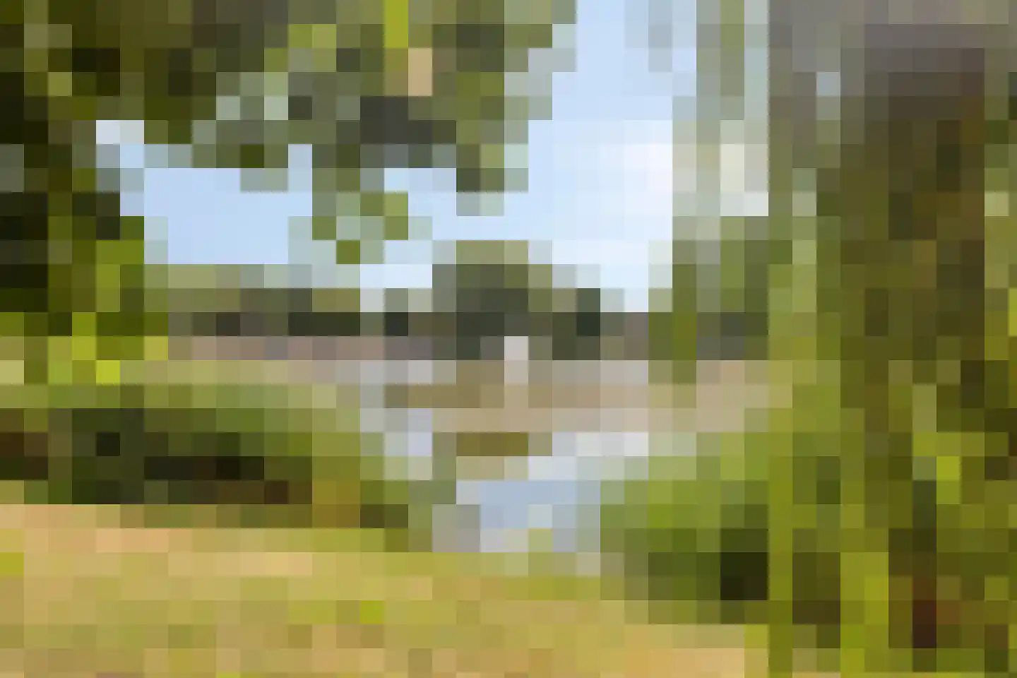 Buitenweg 20 Hengelo thumbnail 40