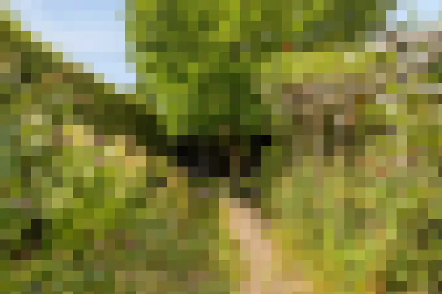 Buitenweg 20 Hengelo thumbnail 5