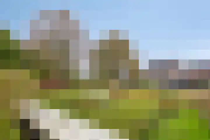 Buitenweg 209 Maarssen thumbnail 31