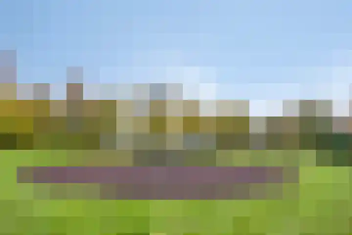 Buitenweg 209 Maarssen thumbnail 32