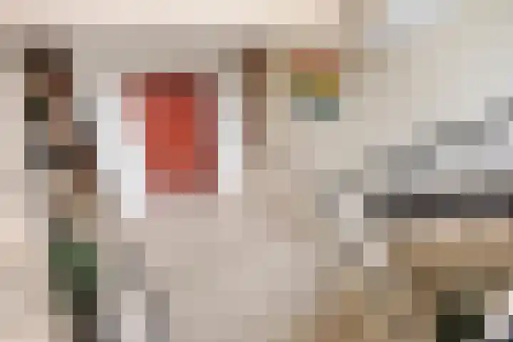 Buitenweg 209 Maarssen thumbnail 4