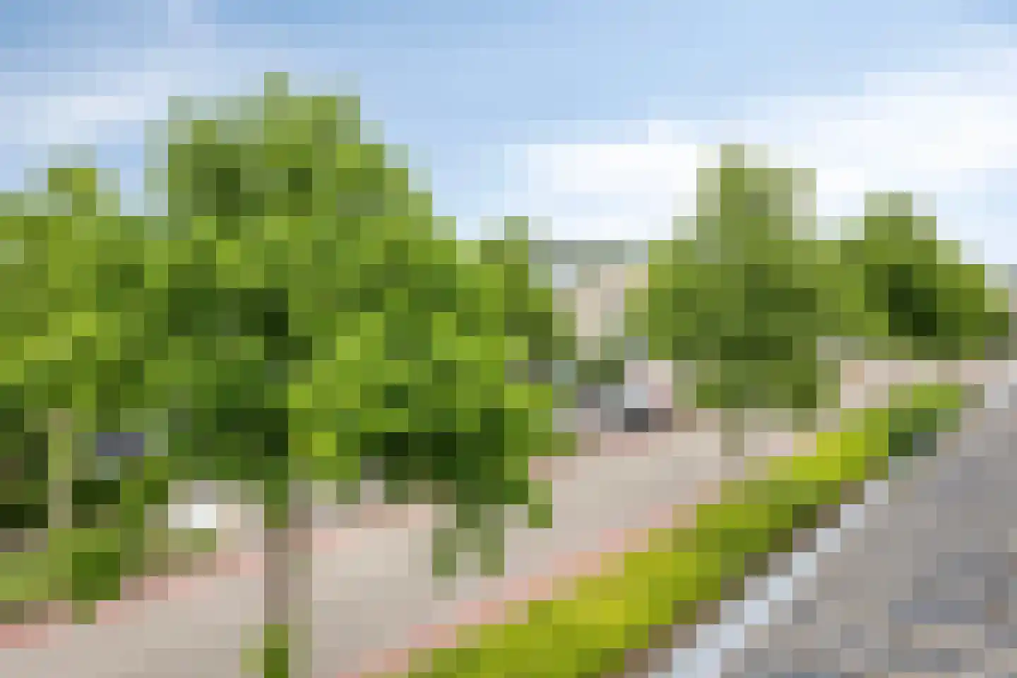 Buitenweg 226 Maarssen thumbnail 30