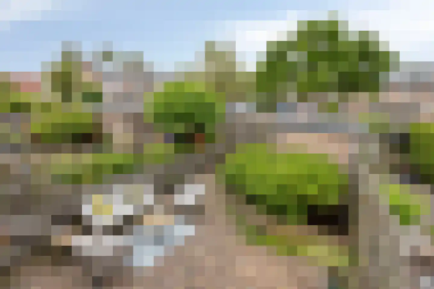 Buitenweg 226 Maarssen thumbnail 31