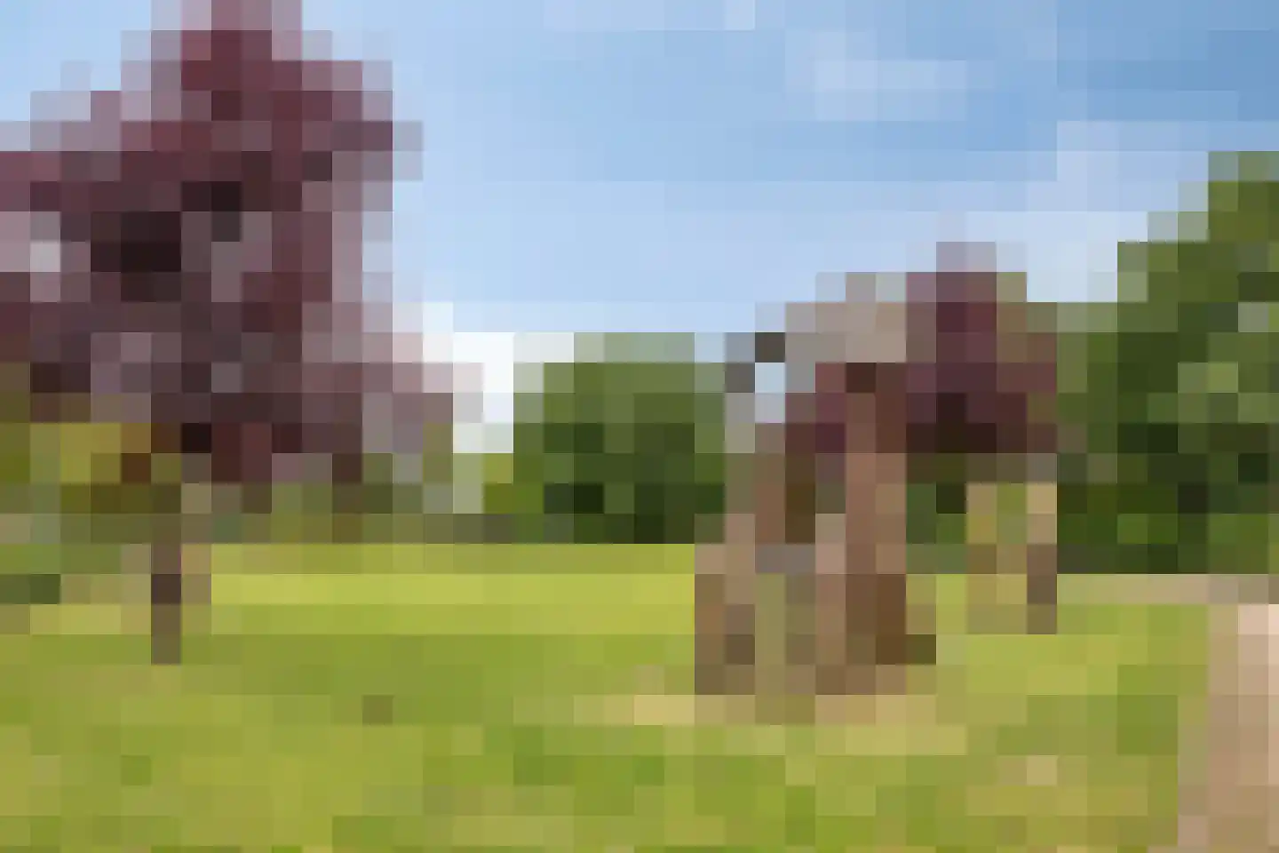 Buitenweg 226 Maarssen thumbnail 38