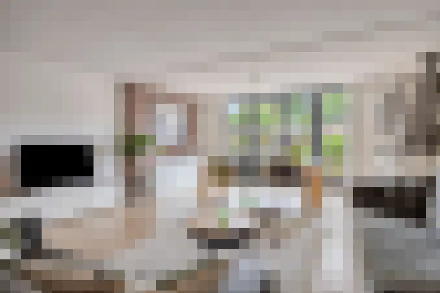 Buitenweg 226 Maarssen thumbnail 6