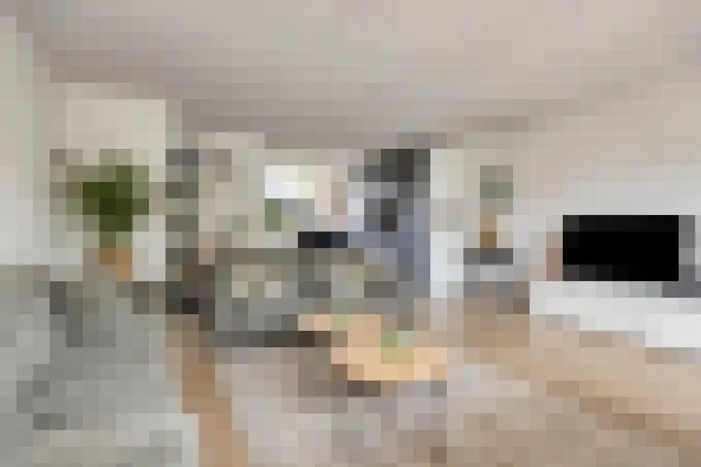 Buitenweg 226 Maarssen thumbnail 9