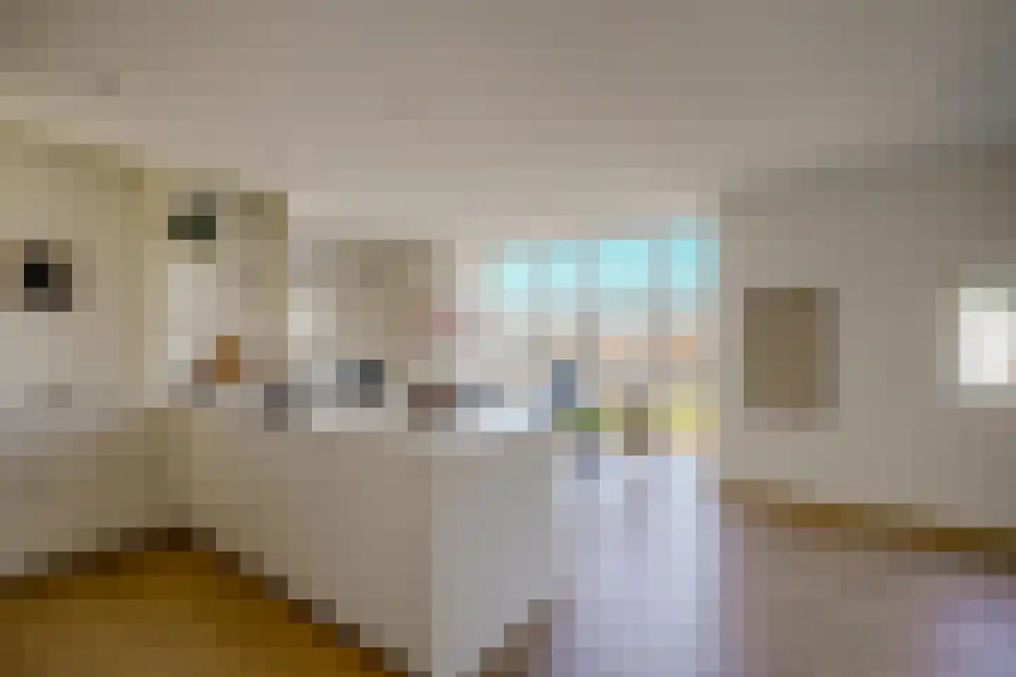 Buitenweg 227 Maarssen thumbnail 11