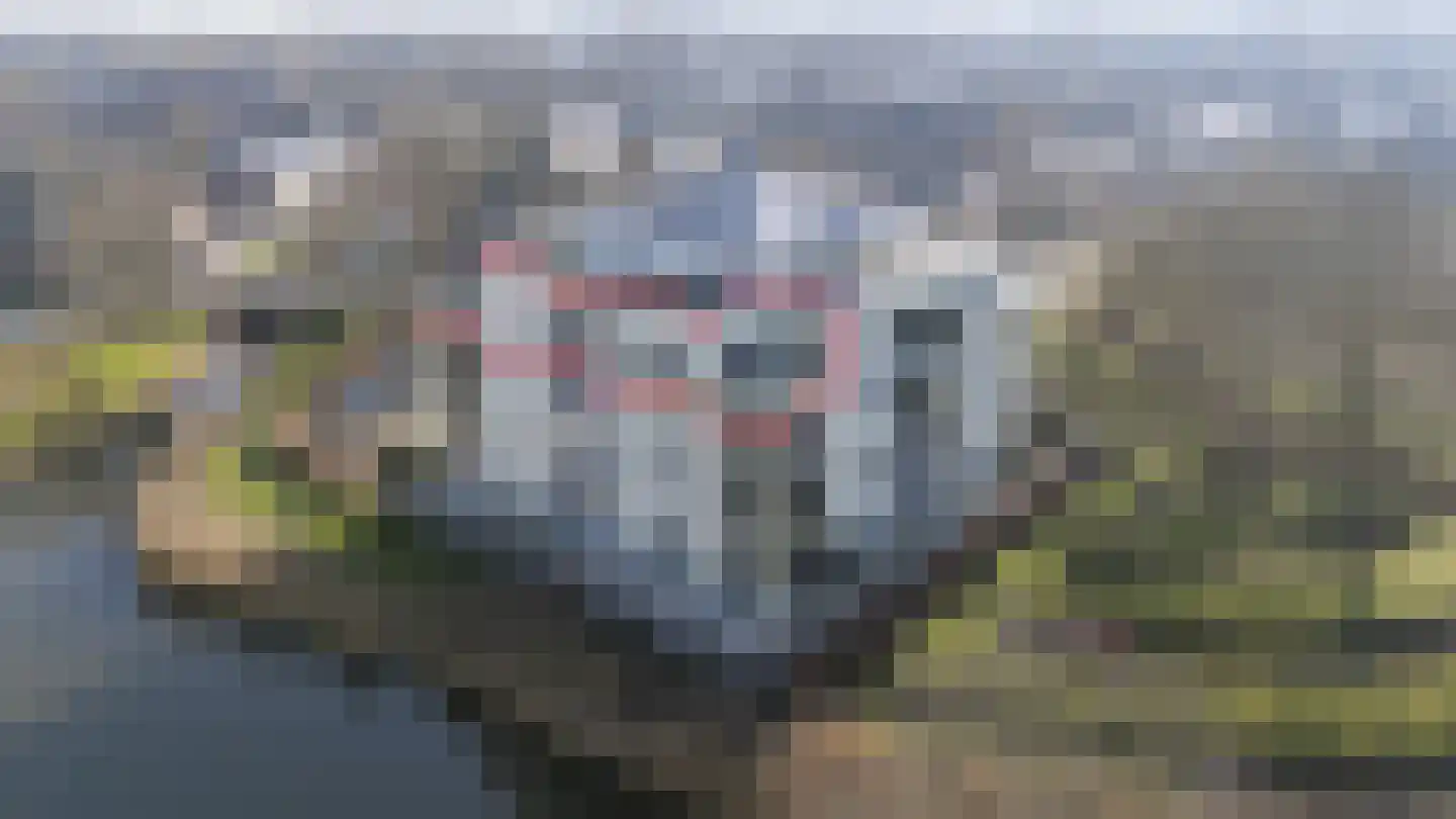 Buitenweg 227 Maarssen thumbnail 7