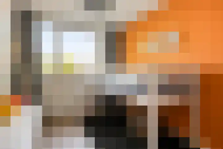 Buitenweg 254 Maarssen thumbnail 14