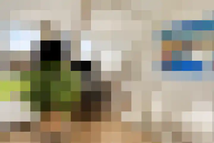 Buitenweg 254 Maarssen thumbnail 22