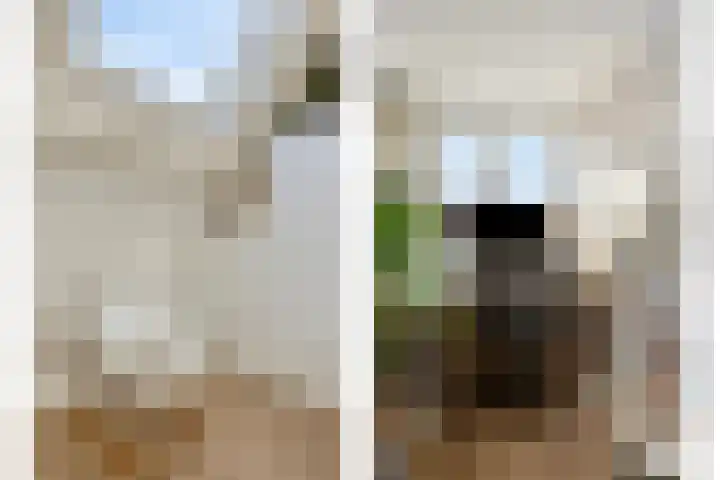 Buitenweg 254 Maarssen thumbnail 23
