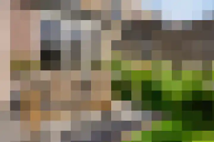 Buitenweg 254 Maarssen thumbnail 29
