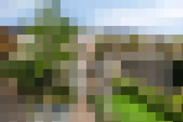 Buitenweg 254 Maarssen thumbnail 30