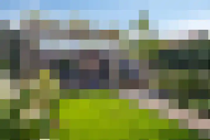 Buitenweg 254 Maarssen thumbnail 33
