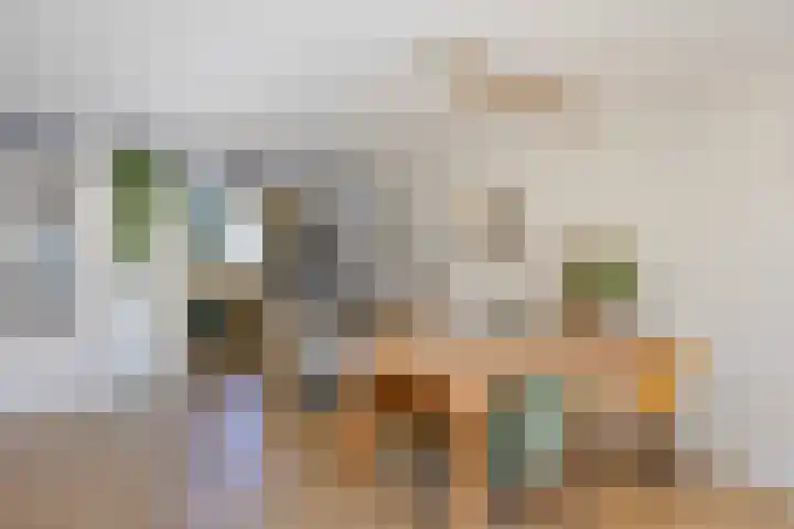 Buitenweg 254 Maarssen thumbnail 4