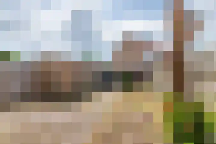 Buitenweg 26 Maurik thumbnail 11