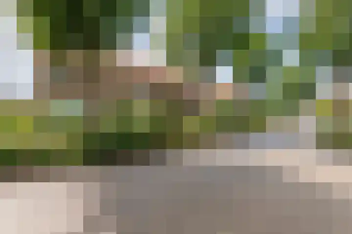 Buitenweg 26 Maurik thumbnail 30