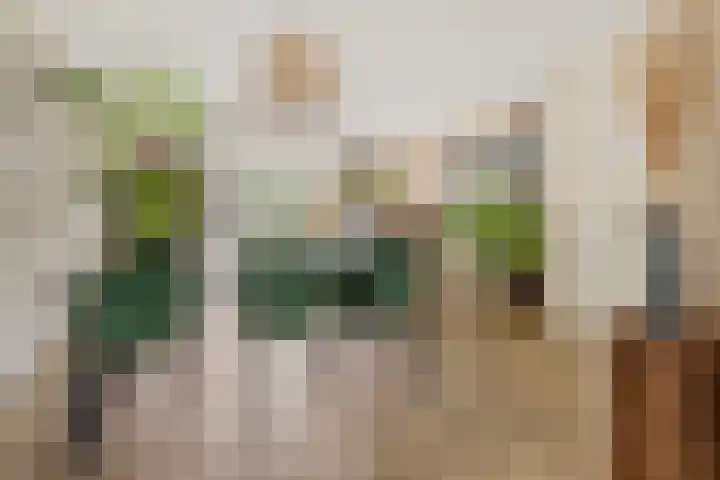 Buitenweg 302 Maarssen thumbnail 16