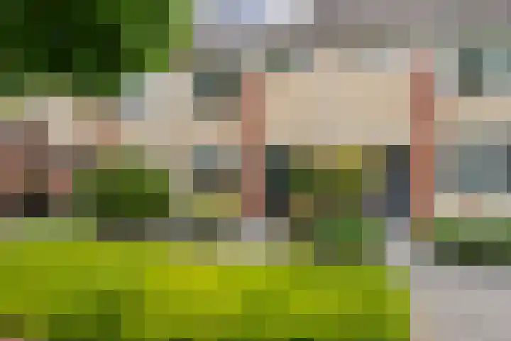Buitenweg 302 Maarssen thumbnail 4