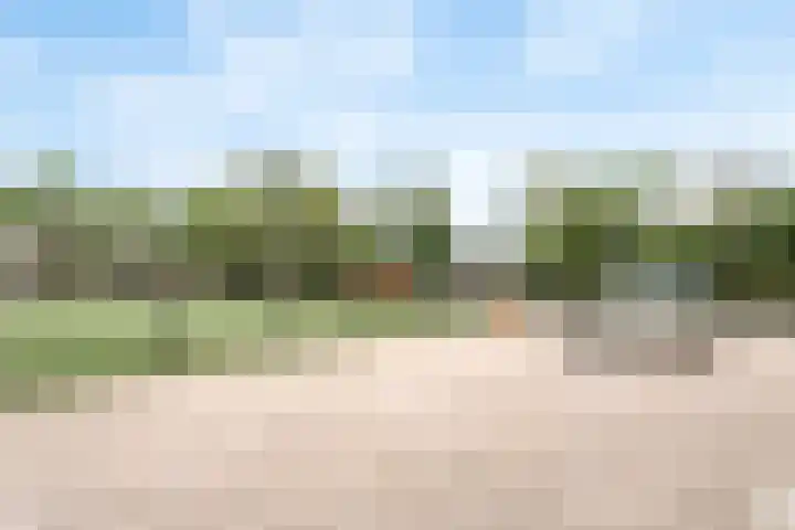 Buitenweg 302 Maarssen thumbnail 45