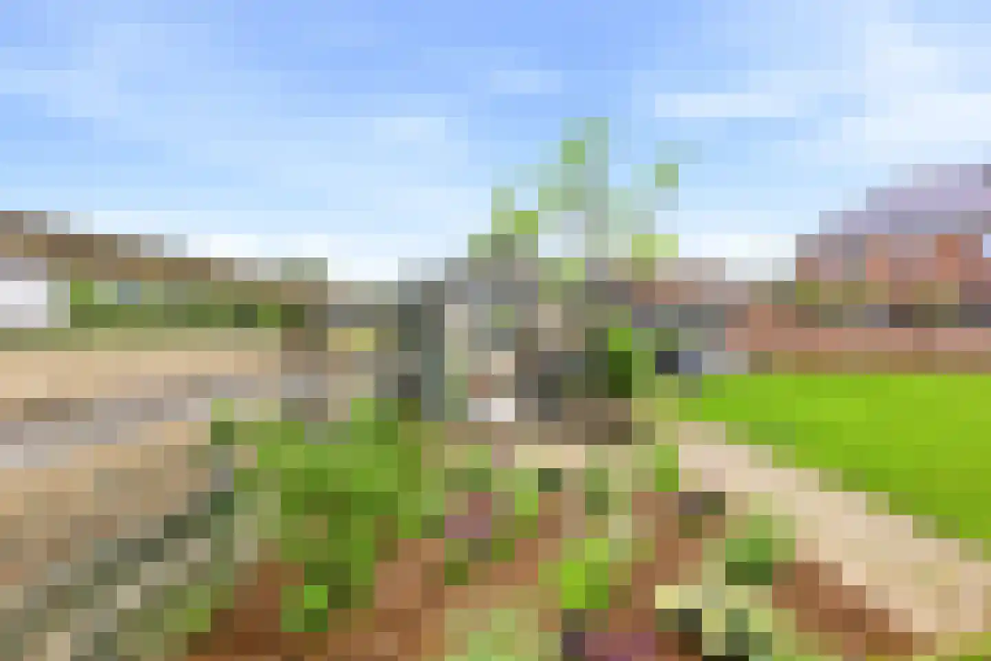Buitenweg 33 Axel thumbnail 41