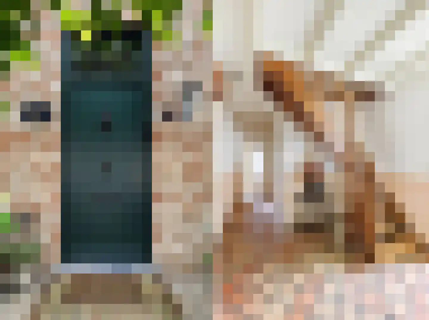 Buitenweg 33 Axel thumbnail 8