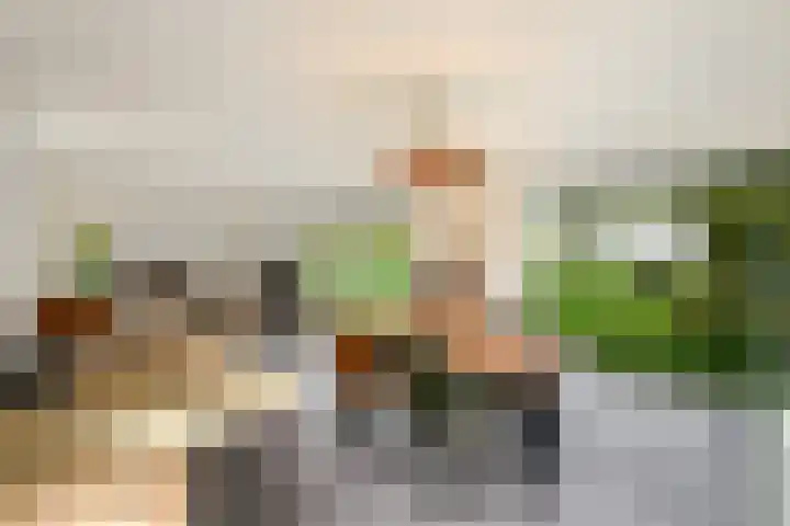 Buitenweg 34 Nieuwehorne thumbnail 11