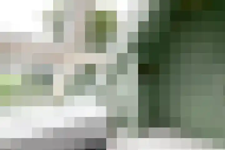 Buitenweg 34 Nieuwehorne thumbnail 25