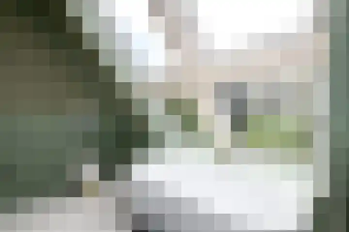 Buitenweg 34 Nieuwehorne thumbnail 26