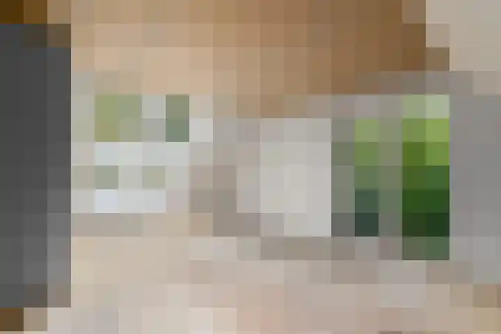 Buitenweg 34 Nieuwehorne thumbnail 29