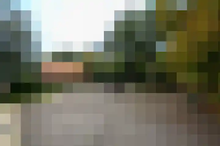 Buitenweg 34 Nieuwehorne thumbnail 31