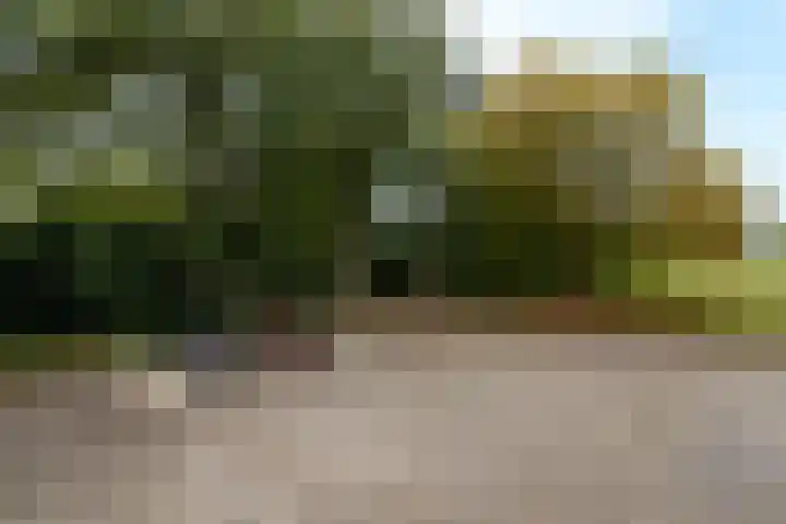 Buitenweg 34 Nieuwehorne thumbnail 32