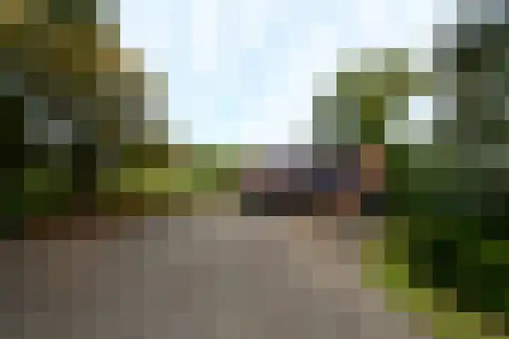 Buitenweg 34 Nieuwehorne thumbnail 33