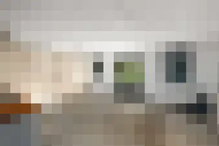 Buitenweg 34 Nieuwehorne thumbnail 36