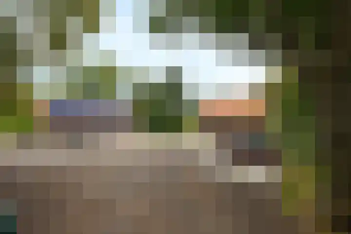 Buitenweg 34 Nieuwehorne thumbnail 4