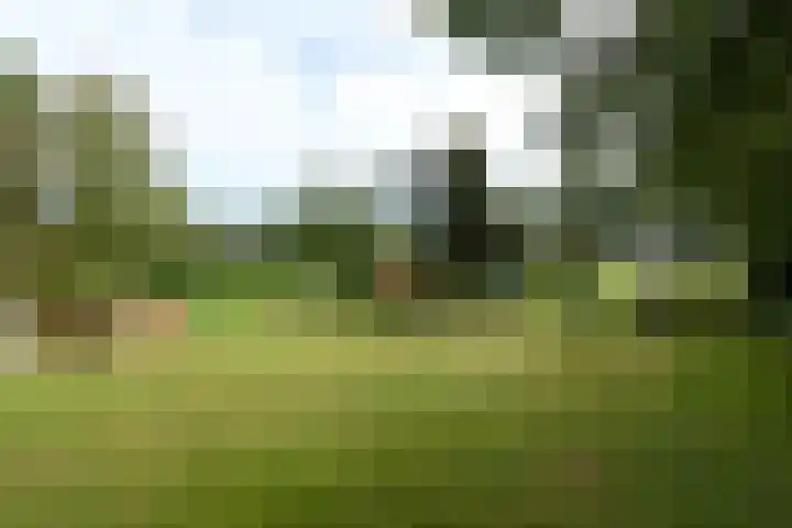 Buitenweg 34 Nieuwehorne thumbnail 44