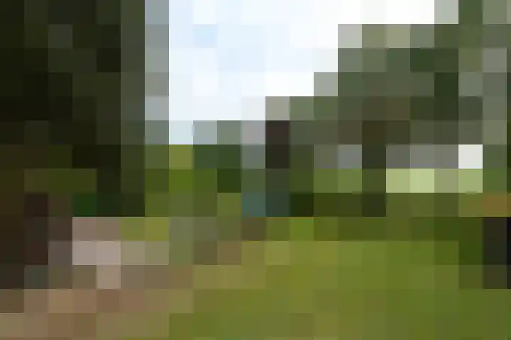 Buitenweg 34 Nieuwehorne thumbnail 45