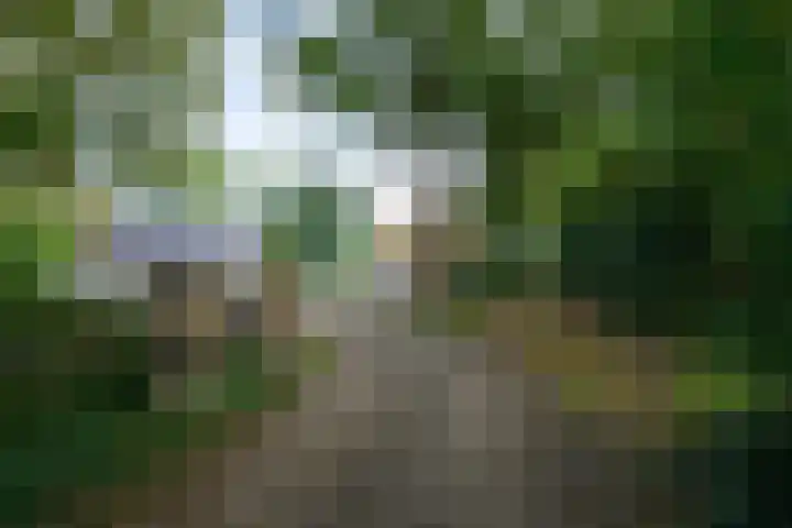 Buitenweg 34 Nieuwehorne thumbnail 47