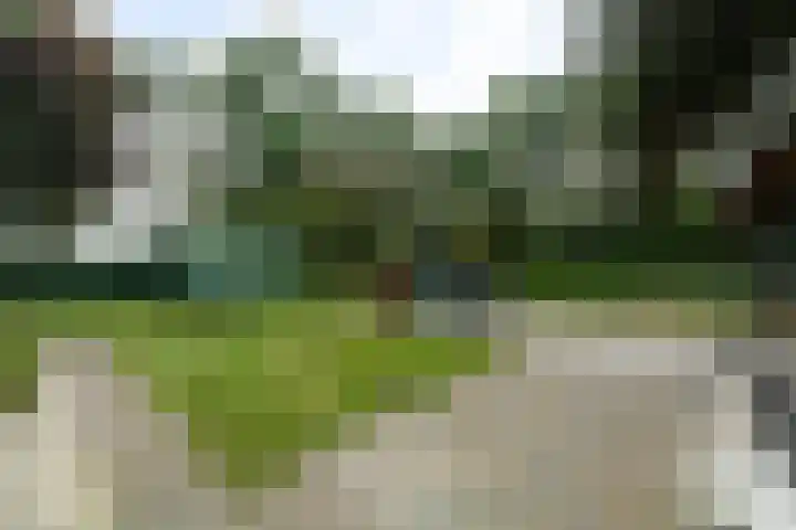 Buitenweg 34 Nieuwehorne thumbnail 50
