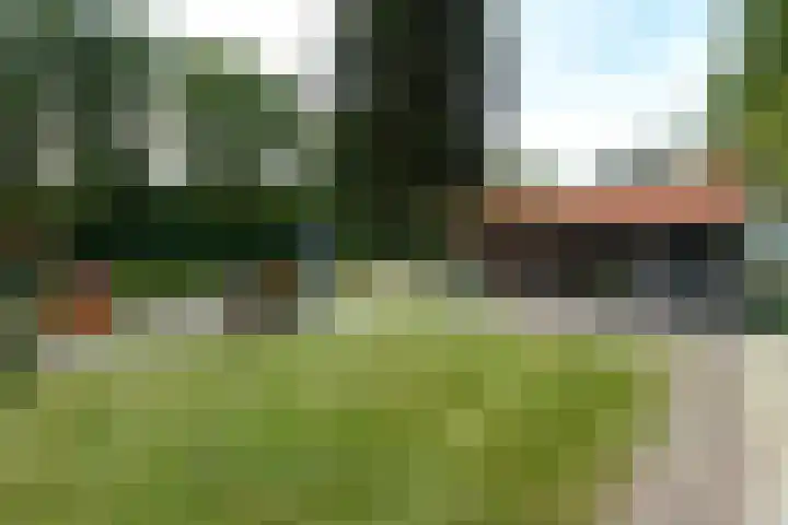 Buitenweg 34 Nieuwehorne thumbnail 52