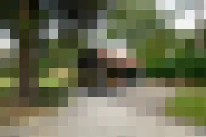 Buitenweg 34 Nieuwehorne thumbnail 54