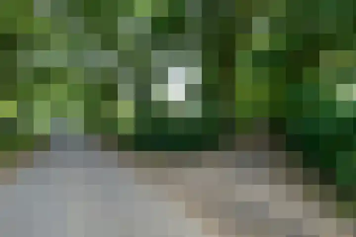 Buitenweg 34 Nieuwehorne thumbnail 57