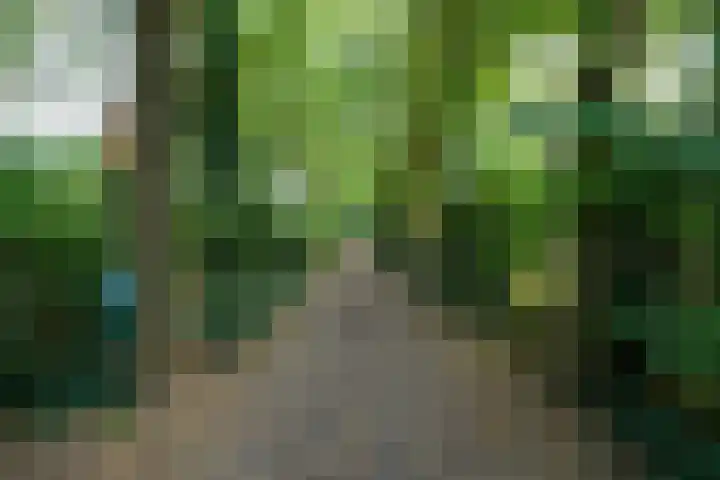Buitenweg 34 Nieuwehorne thumbnail 58