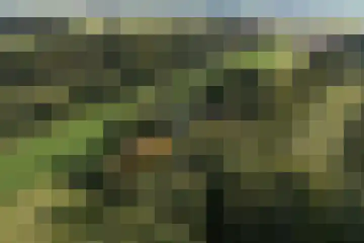 Buitenweg 34 Nieuwehorne thumbnail 59
